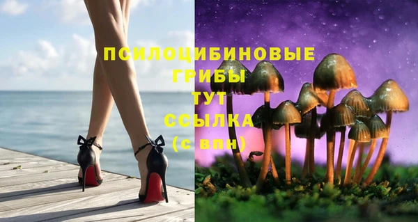 стафф Абдулино