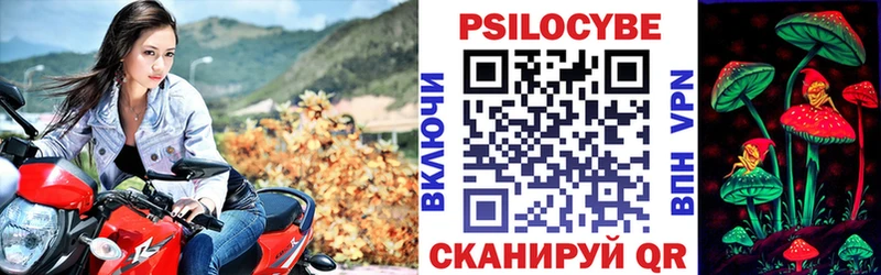 наркота  Усолье  Галлюциногенные грибы MAGIC MUSHROOMS 